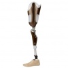 Ginocchio ettronico C-Leg